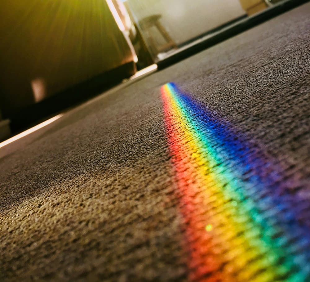 Professional-Carpet-Cleaning-Services-in-Colton-inland-water-damage-1a