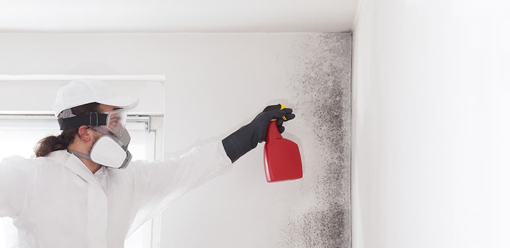 Patton mold detection provided by Inland Water Damage.