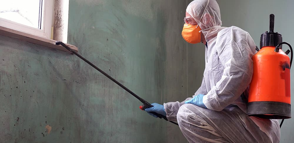 Inland Water Damage provides professional mold inspections and remediation near Rancho West, Colton CA.