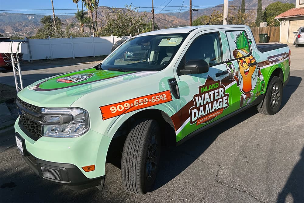 Redlands mold reduction services provided by water damage experts.